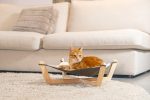 Beeztees DBL Kedi Hamağı, Gri, 51x51x18,5cm - Görsel 4