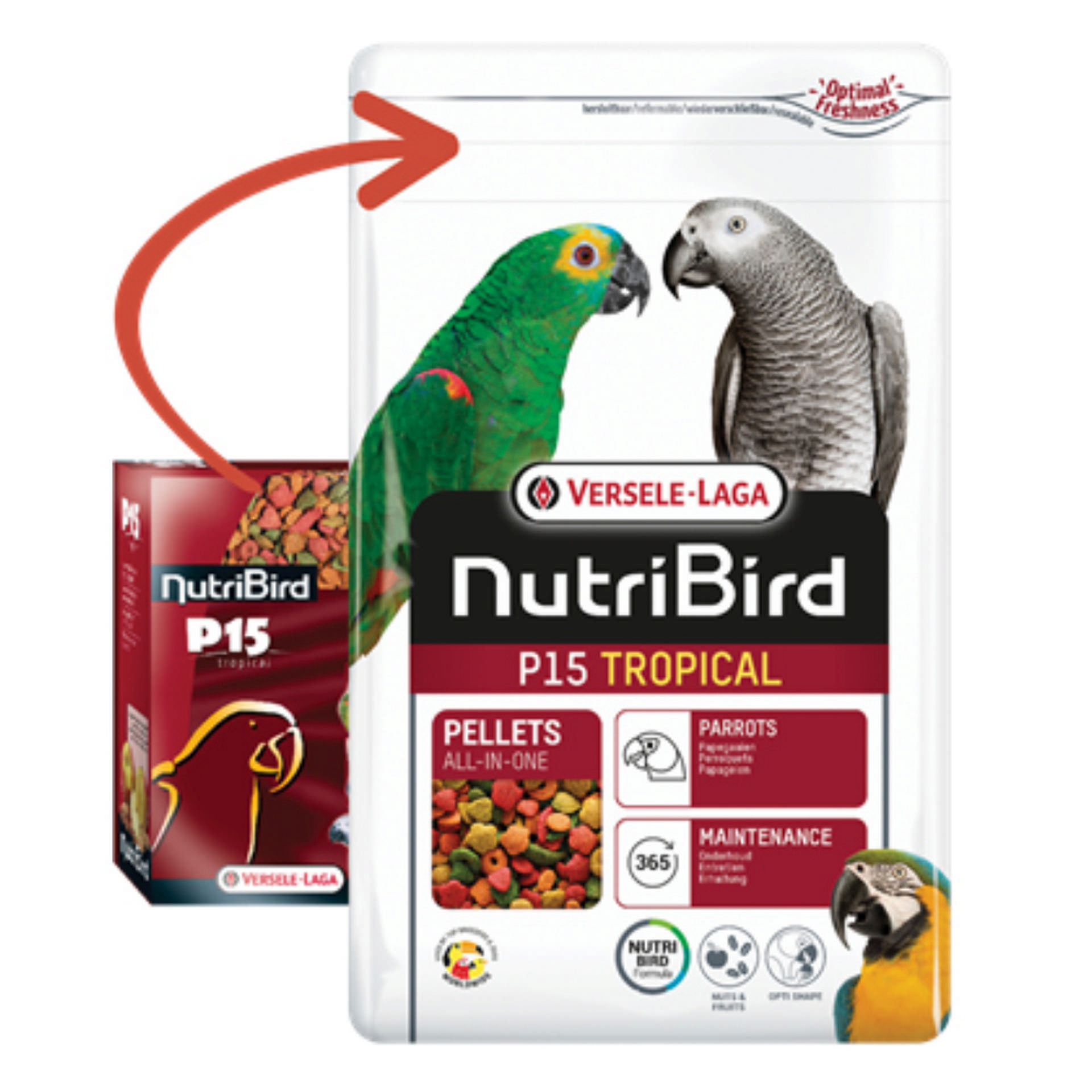 1000804_3919b432eeb6552a881efd9e347e1a27.jpg Versele Laga Nutrıbırd P15 Tropıcal 1kg - Görsel 1