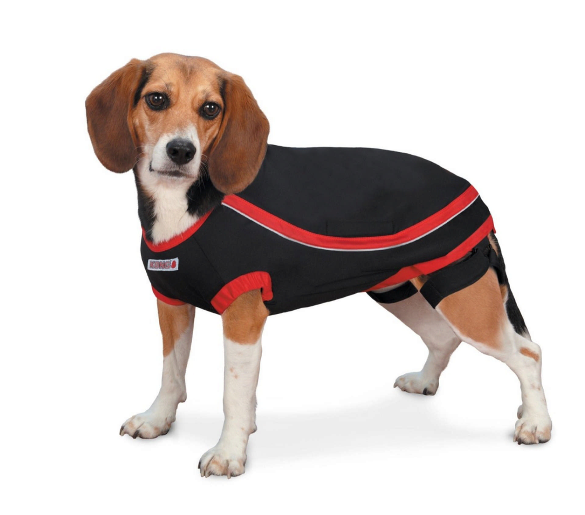 1032344_kong-kopek-anksiyete-giderici-elbise-xs-kpek-kong-7739-25-B.jpg Kong Köpek Anksiyete Giderici Elbise Xs - Görsel 1