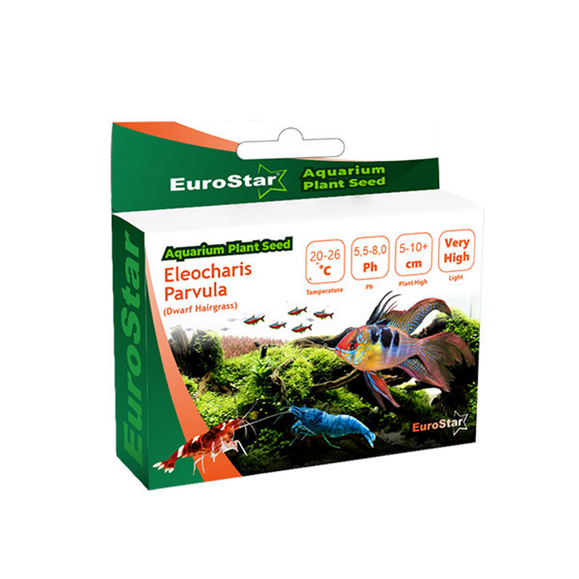 1047798_452-1503.jpg EuroStar Bitki Tohumu Eleocharis Parvula - Görsel 1