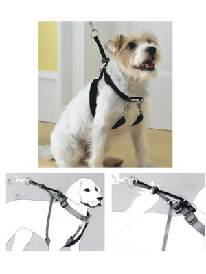 Pawise Dog Training XS (34