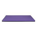 Pet Comfort One Ortopedik Köpek Yatağı Mor L 75x115x2cm - Görsel 3