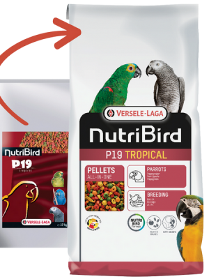 Versele Laga Nutrıbırd P19 Tropıcal Papağan Pelet Yem 10kg