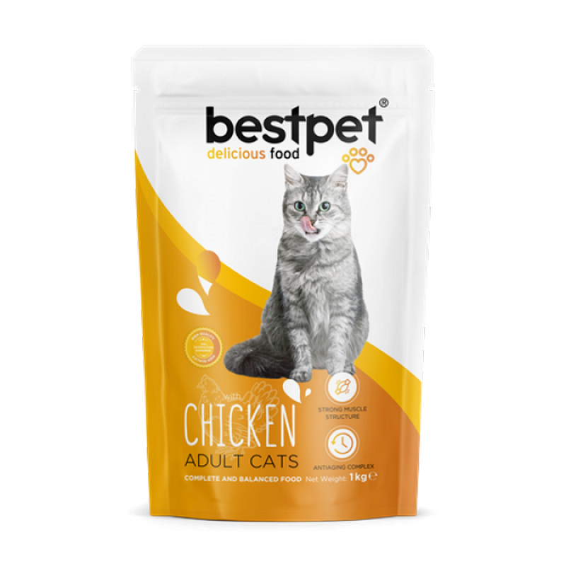 1138171_4BESTPET-ADULT-CHICKEN-1kg-1.png Bestpet 1 kg X 10 ADET Yetişkin Kediler İçin Tavuk Etli Kuru Mama - Görsel 1