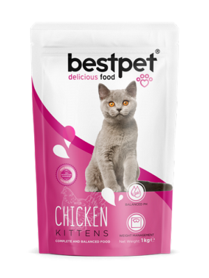 Bestpet 1 kg X 10 ADET Yavru Kediler İçin, Tavuk Etli Ve Pirinçli Kuru Mama