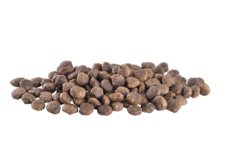 1138211_66BRIT-CARE-MINI-ADULT-LAMB.png Brit Care 7 kg Mini Irk Yetişkin Köpekler İçin, Tahılsız, Hipoalerjenik Kuzu Etli Kuru Mama - Görsel 2