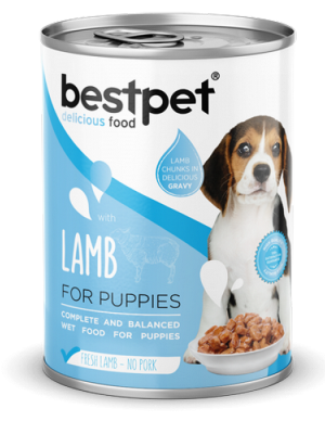Bestpet 400 gr X 12 ADET Yavru Köpekler İçin, Taze Kuzu Parça Etli Ve Soslu Yaş Mama