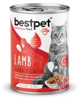 Bestpet 400 gr X 12 ADET  Yetişkin Kediler İçin, Taze Kuzu Parça Etli Ve Soslu Yaş Mama