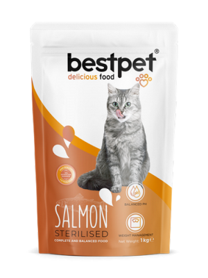 Bestpet 1 kg X 10 ADET  Yetişkin Kısırlaştırılmış Kediler İçin Somonlu Kuru Mama