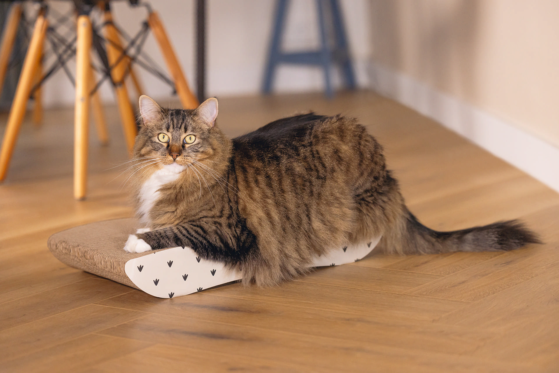 1142483_beeztees-kedi-karton-tirmalama-bej-50cm-kedi-trmalama-tahtalar-beeztees-23583-46-B.jpg Beeztees Kedi Karton Tırmalama, Bej, 50cm - Görsel 2