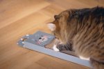 Beeztees Kedi Karton Tırmalama, Mavi, 45cm - Görsel 3