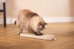 Beeztees Kedi Karton Tırmalama, Bej, 45cm - Görsel 2