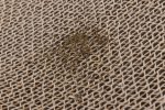 Beeztees Kedi Karton Tırmalama ve Kediotu, 52x21x10cm - Görsel 5