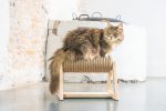 Beeztees DBL Kedi Tırmalama, 36x29,5x28cm - Görsel 4