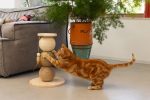 Beeztees DBL Kedi Tırmalama ve Oyuncağı, 34x34x47,5cm - Görsel 7