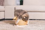 Beeztees DBL Kedi Tırmalama ve Oyuncağı, 29,5x29,5x22cm - Görsel 2