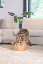 Beeztees DBL Kedi Tırmalama ve Oyuncağı, 29,5x29,5x22cm - Görsel 9