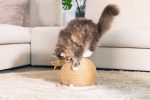 Beeztees DBL Kedi Tırmalama ve Oyuncağı, 29,5x29,5x22cm - Görsel 10