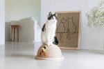 Beeztees DBL Kedi Tırmalama ve Oyuncağı, 34,5x34,5x18cm - Görsel 8