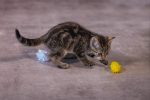 Beeztees Yavru Kedi Oyuncağı, Hışırtılı Top, 4 Adet, 5cm - Görsel 4