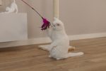 Beeztees Kedi Oltası, Tüylü, Çeşitli Renklerde, - Görsel 2