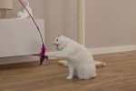 Beeztees Kedi Oltası, Tüylü, Çeşitli Renklerde, - Görsel 3