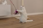Beeztees Kedi Oltası, Tüylü, Çeşitli Renklerde, - Görsel 9