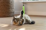 Beeztees Kedi Oltası, Zilli, Peluş Oyuncaklı, Çeşitli Renklerde, - Görsel 7