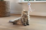 Beeztees Kedi Oltası, Zilli, Tüylü Top ve Kurdelalar, - Görsel 2