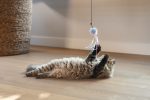 Beeztees Kedi Oltası, Zilli, Tüylü Top ve Kurdelalar, - Görsel 3