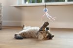 Beeztees Kedi Oltası, Zilli, Tüylü Top ve Kurdelalar, - Görsel 4