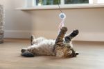 Beeztees Kedi Oltası, Zilli, Tüylü Top ve Kurdelalar, - Görsel 5