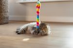 Beeztees Kedi Oltası, Zilli, Peluş Oyuncaklı, - Görsel 2