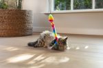 Beeztees Kedi Oltası, Zilli, Peluş Oyuncaklı, - Görsel 8