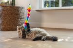 Beeztees Kedi Oltası, Zilli, Peluş Oyuncaklı, - Görsel 3