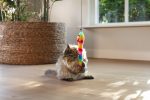 Beeztees Kedi Oltası, Zilli, Peluş Oyuncaklı, - Görsel 4