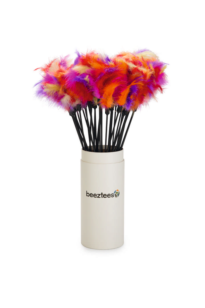 1142570_beeztees-kedi-oltasi-tuylu-uc-12cm-45cm-kedi-aktivite-oyuncaklar-beeztees-22669-48-B.jpg Beeztees Kedi Oltası, Tüylü Uc-12cm, 45cm - Görsel 2