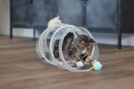 Beeztees Yavru Kedi Tüneli, Spiral Şeklinde, 60x25x25cm - Görsel 5