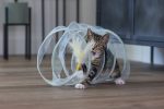 Beeztees Yavru Kedi Tüneli, Spiral Şeklinde, 60x25x25cm - Görsel 8
