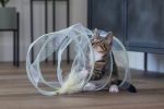 Beeztees Yavru Kedi Tüneli, Spiral Şeklinde, 60x25x25cm - Görsel 9