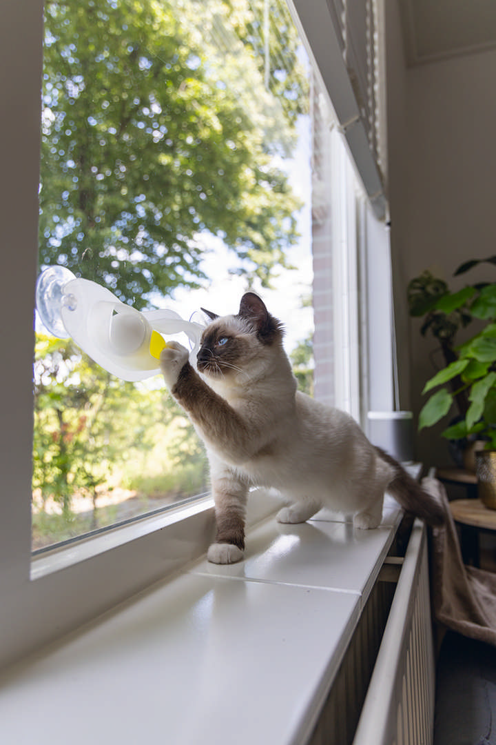 1142594_beeztees-yavru-kedi-oyuncagi-cama-tutturulabilir-52x4x9cm-kedi-aktivite-oyuncaklar-beeztees-22527-48-B.jpg Beeztees Yavru Kedi Oyuncağı, Cama Tutturulabilir, 52x4x9cm - Görsel 2