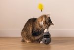 Beeztees Kedi Oyuncağı, Hacıyatmaz, İçinde Top, Ucunda Tüy, 10x10x42cm - Görsel 8