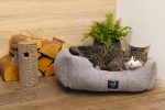 Beeztees Kedi Oyuncağı, Karton Silindir ve Püskül, 23x10x10cm - Görsel 2