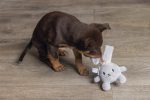 Beeztees Yavru Köpek Oyuncağı, Tavşan, Peluş, Gri, 15x9x4cm - Görsel 2