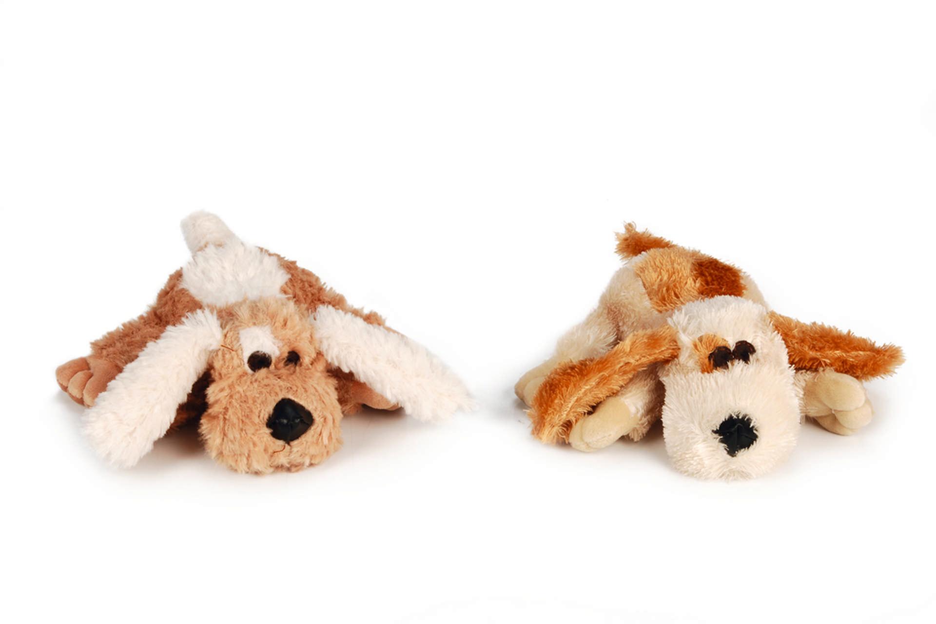 1142711_beeztees-kopek-oyuncagi-sesli-kopek-pelus-cesitli-renklerde-20x22x8cm-kuma-ve-pelu-kpek-oyuncaklar-beeztees-22150-49-B.jpg Beeztees Köpek Oyuncağı, Sesli, Köpek, Peluş, Çeşitli Renklerde, 20x22x8cm - Görsel 1