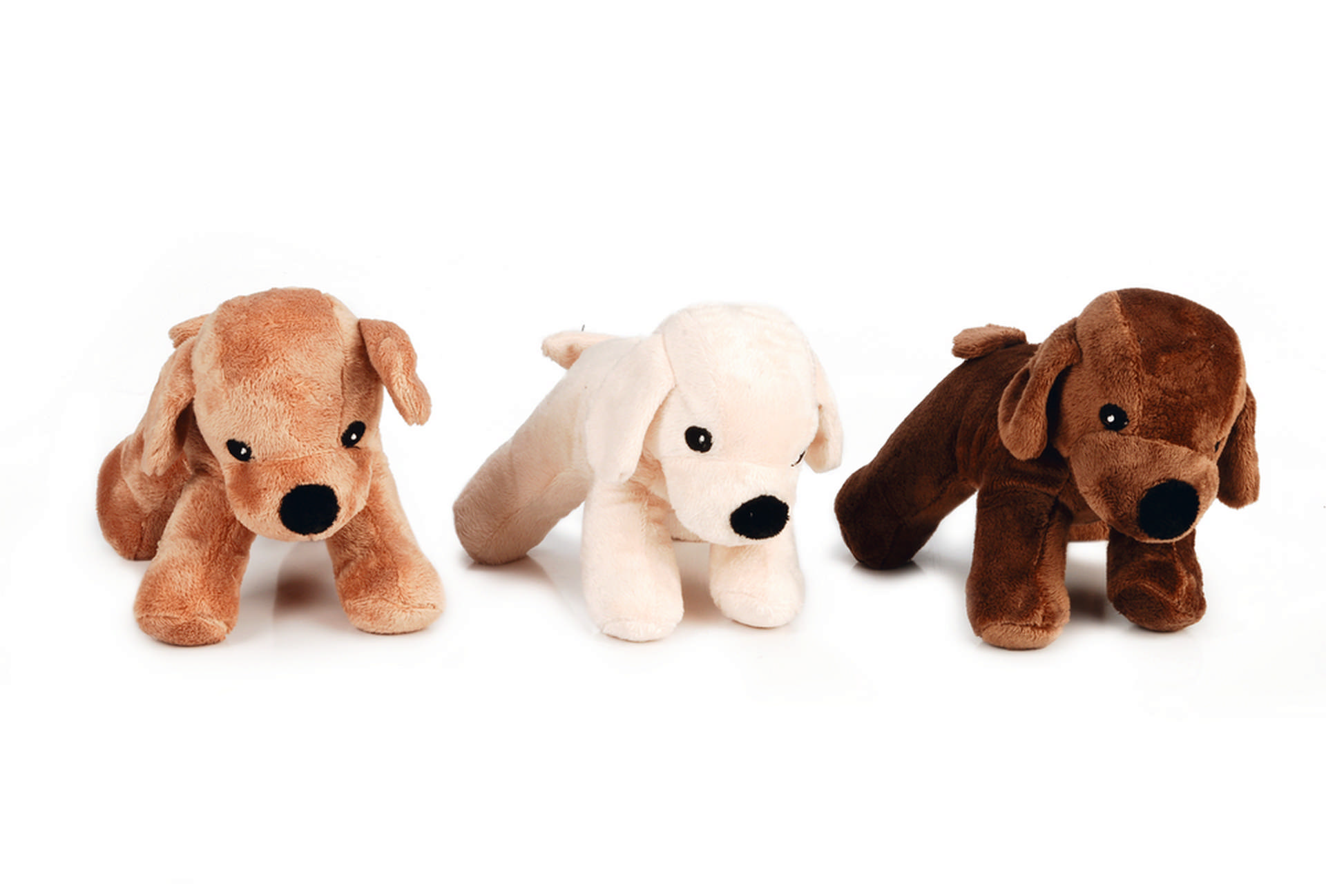 1142712_beeztees-kopek-oyuncagi-sesli-kopek-pelus-cesitli-renklerde-26x18x165cm-kuma-ve-pelu-kpek-oyuncaklar-beeztees-22149-49-B.jpg Beeztees Köpek Oyuncağı, Sesli, Köpek, Peluş, Çeşitli Renklerde, 26x18x16,5cm - Görsel 1