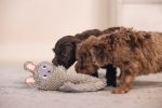Beeztees Yavru Köpek Oyuncağı, Peluş, Gri, 37x28x4cm - Görsel 5
