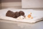 Beeztees Yavru Köpek Oyuncağı, Peluş, Beyaz, 37x28x4cm - Görsel 6