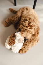 Beeztees Köpek Oyuncağı, Koyun, Peluş, Beyaz, 26x6x21cm - Görsel 3