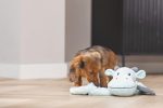 Beeztees Yavru Köpek Oyuncağı, Dragon, Peluş, Gri, 45x24,5x6cm - Görsel 3
